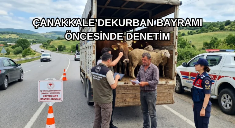 Çanakkale’de Kurban Bayramı Öncesi Canlı Hayvan Sevklerine Sıkı Denetim!