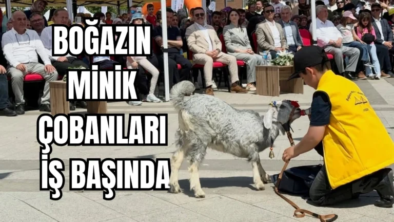 Çanakkale’de Sıra Dışı Proje: Boğazın Minik Çobanları Ödüllerine Kavuştu!