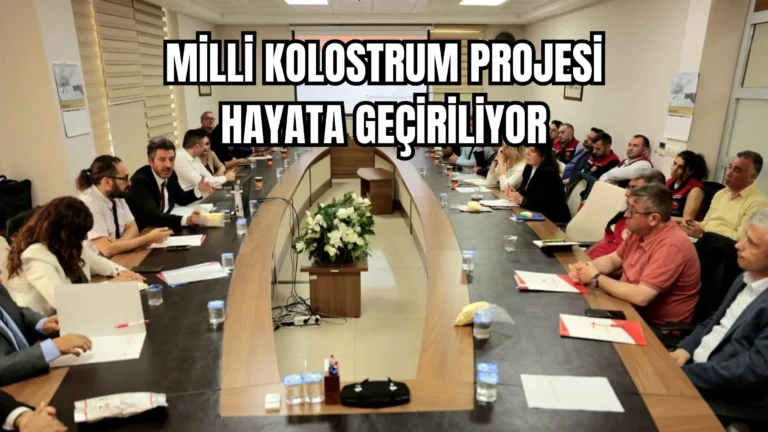 Buzağı Ölümlerine Karşı Dev Hamle Çanakkale’den Geldi!